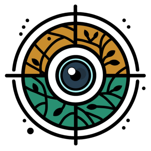 Geovisual Drone